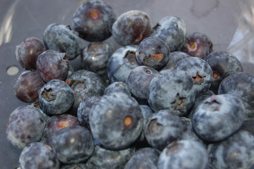 blueberrie2 blueberrie2
