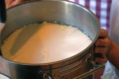 milkcurded milkcurded