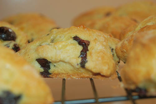 scones1 scones1