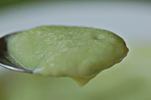 SpoonfulAvocadoSoup