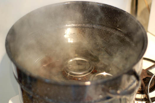 PotwithJars