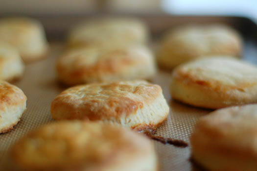 ButtermilkBiscuits