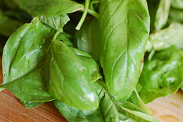 Pesto4