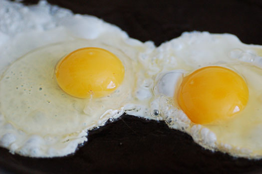 eggs