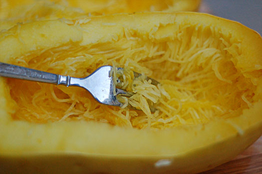 squash3 squash3