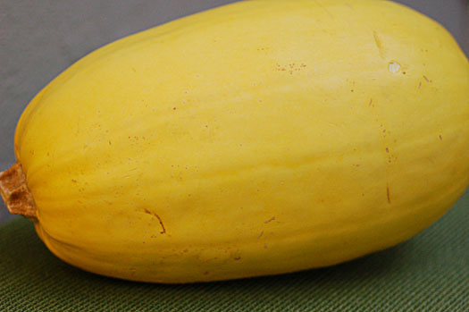 squash7 squash7