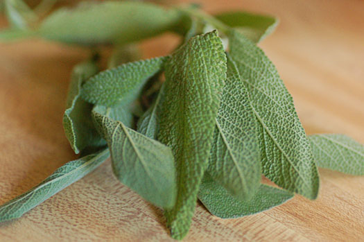 Sage