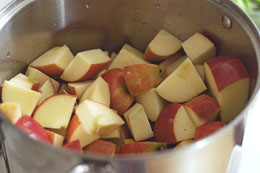 AppleButter4