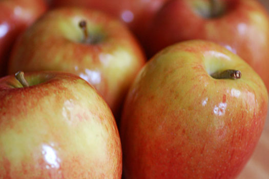 AppleButter5