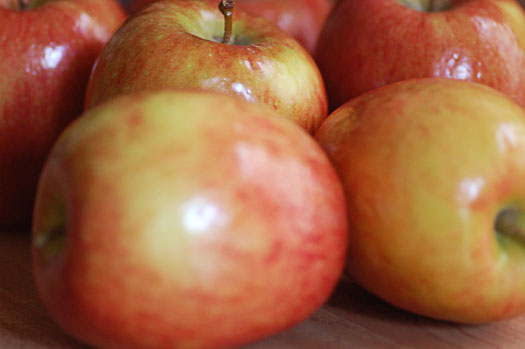AppleButter6 AppleButter6