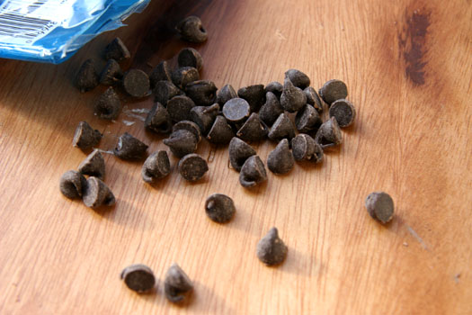 ChocolateChips