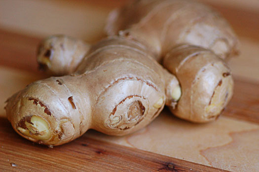 Ginger Ginger