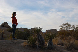 desert2