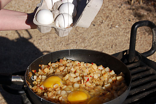 eggs2