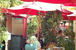 Aroma1