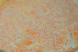 CarrotPudding5