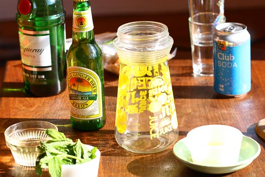 Gin and Tonic
