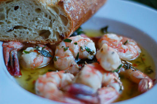 shrimp scampi