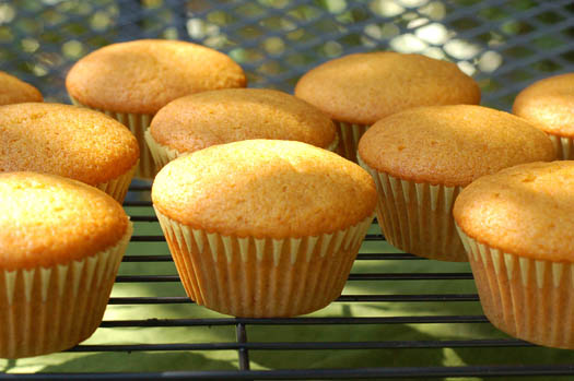 PumpkinMuffins