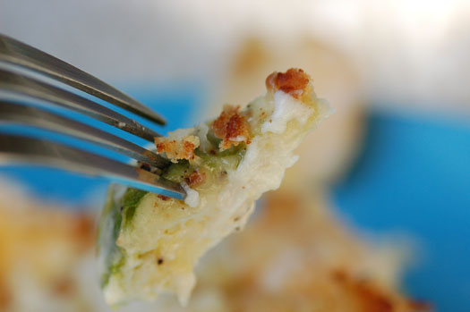 BrusselSproutGratinCU