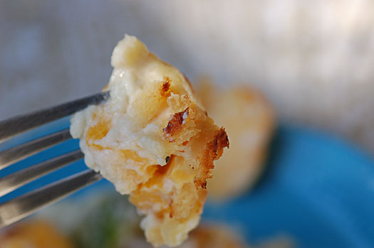CloseupCauliflower