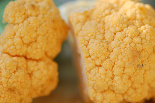 YellowCauliflowerGratin