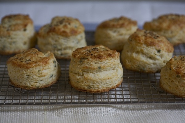 Sage and Fontina Buttermilk Biscuits // www.acozykitchen.com