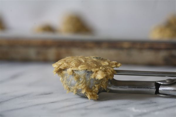 Chewy Oatmeal Cookies