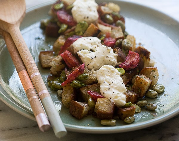 Fava Bean Panzanella Salad 