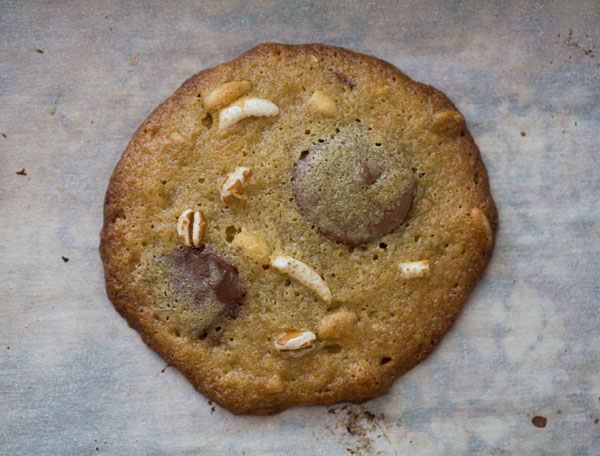 Chewy Chocolate Chip Cookies
