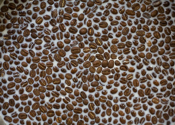 Boozy Milkshake: Coffee and Rum Milkshake with Salty Chocolate-Covered Coffee Beans // www.acozykitchen.com
