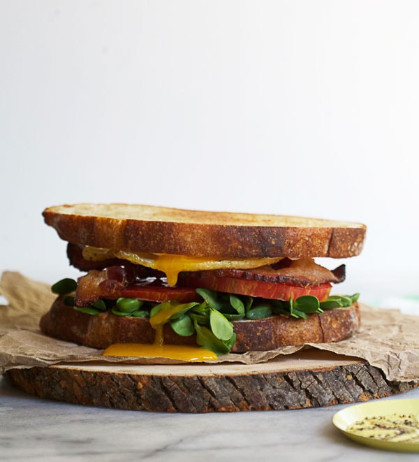 How to Make a Fancy-Ass BLT // www.acozykitchen.com