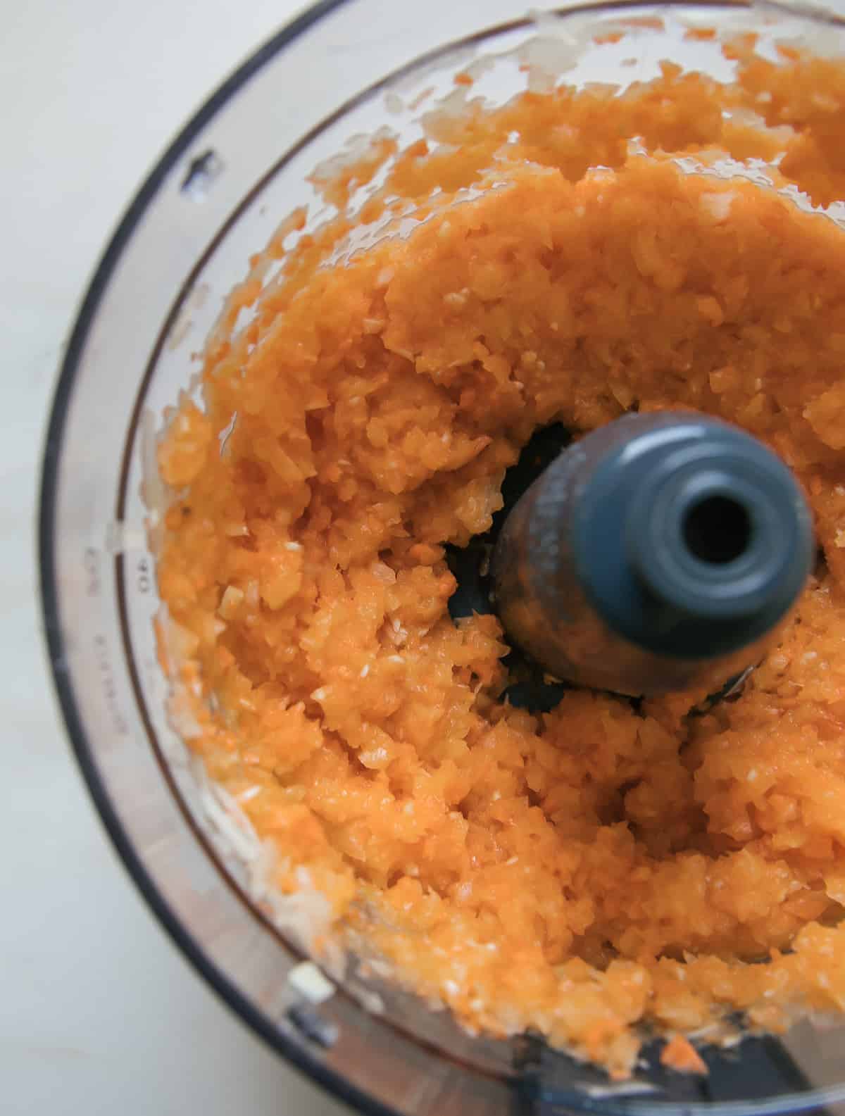 Carrot and onion all diced up in food processor. 