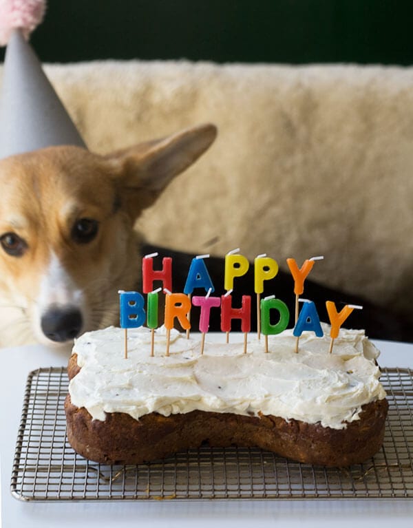 doge birthday cake