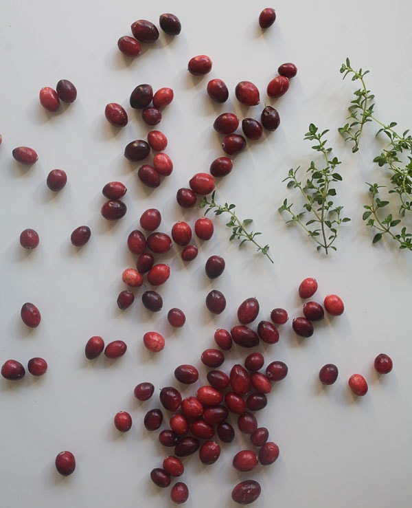 Cranberry Thyme Gin & Tonic | www.acozykitchen.com