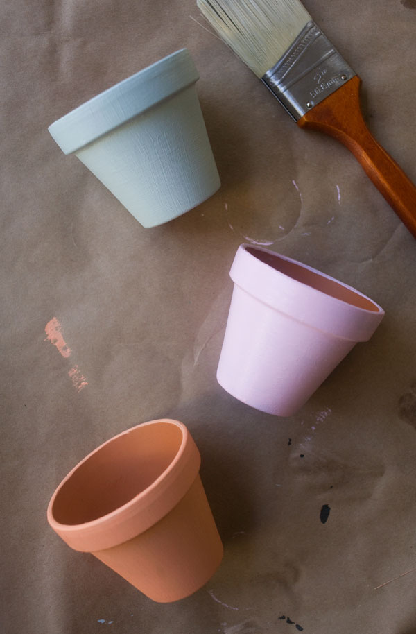 DIY: Last Minute Hostess Gift - Potted Winter Herbs // www.acozykitchen.com