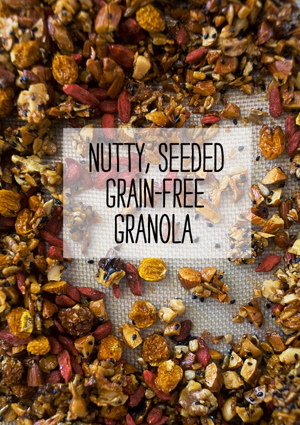 Nutty, Seeded, Grain-Free Granola | www.acozykitchen.com
