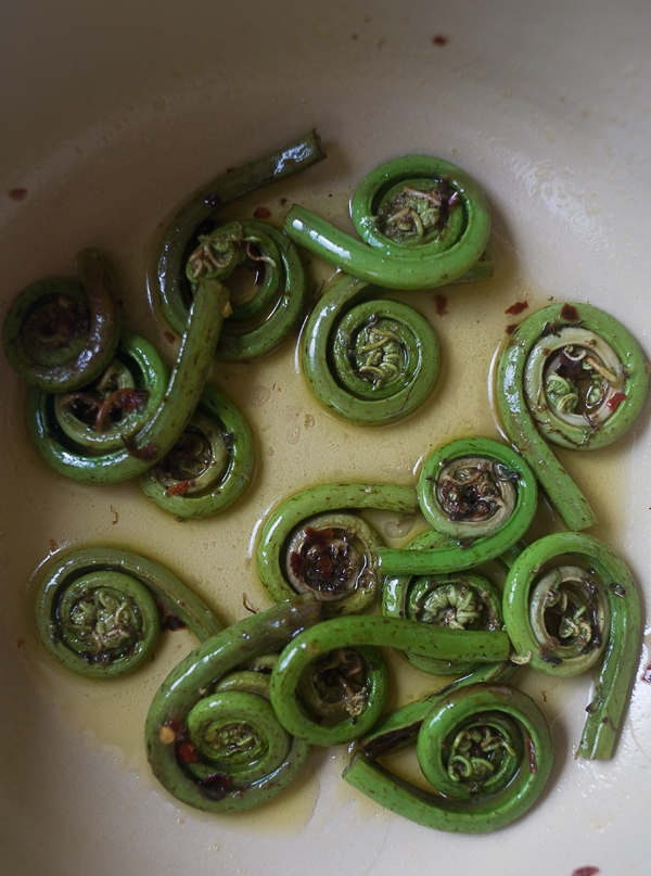 Fiddlehead Creamy Lemon Pasta // www.acozykitchen.com