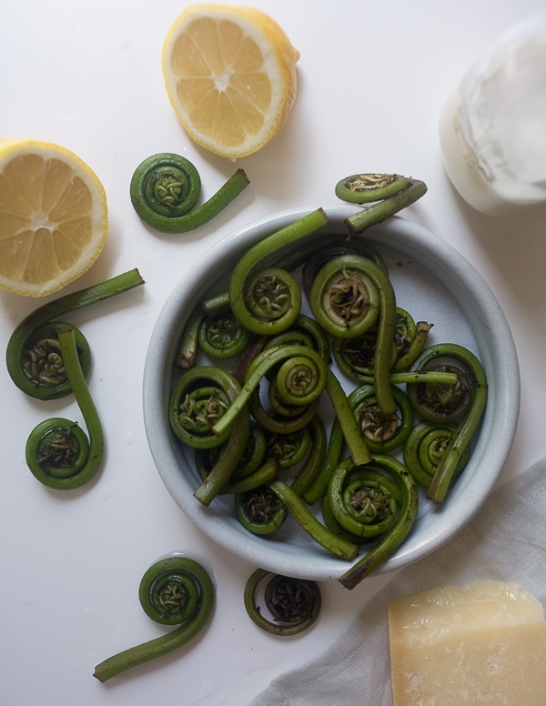 Fiddlehead Creamy Lemon Pasta // www.acozykitchen.com