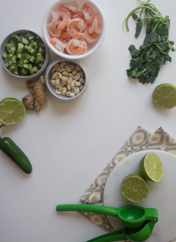 Spicy Shrimp Ceviche w/ Cucumbers and Burnt Peanuts // www.acozykitchen.com