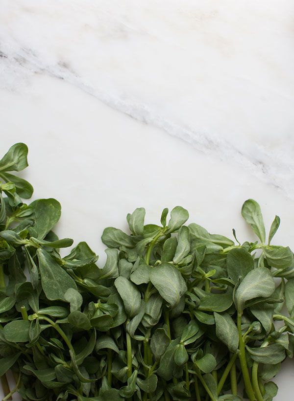 Cherry Purslane Salad with Lebneh and Crispy Freekeh