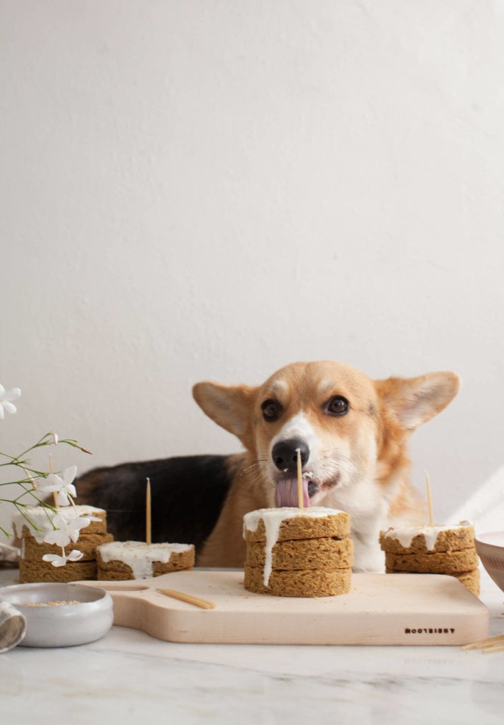 Grain-Free Dog Cake Recipe - A Cozy Kitchen