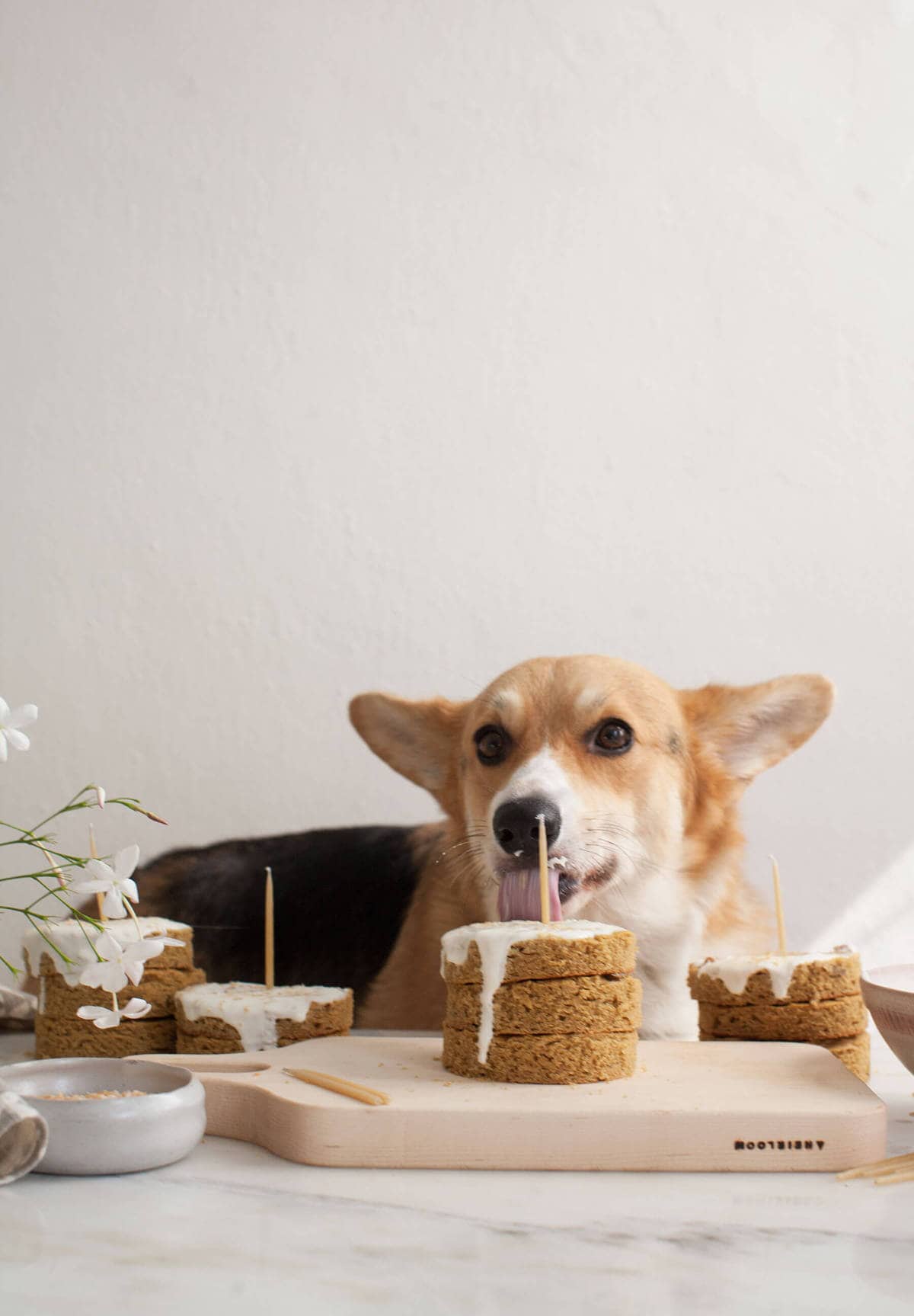 coconut flour dog cake