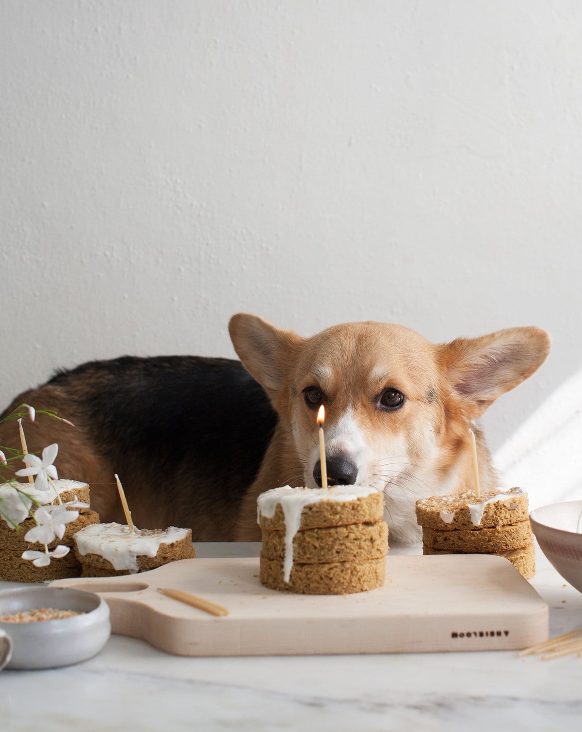 Grain-Free Dog Mini Apple Cakes