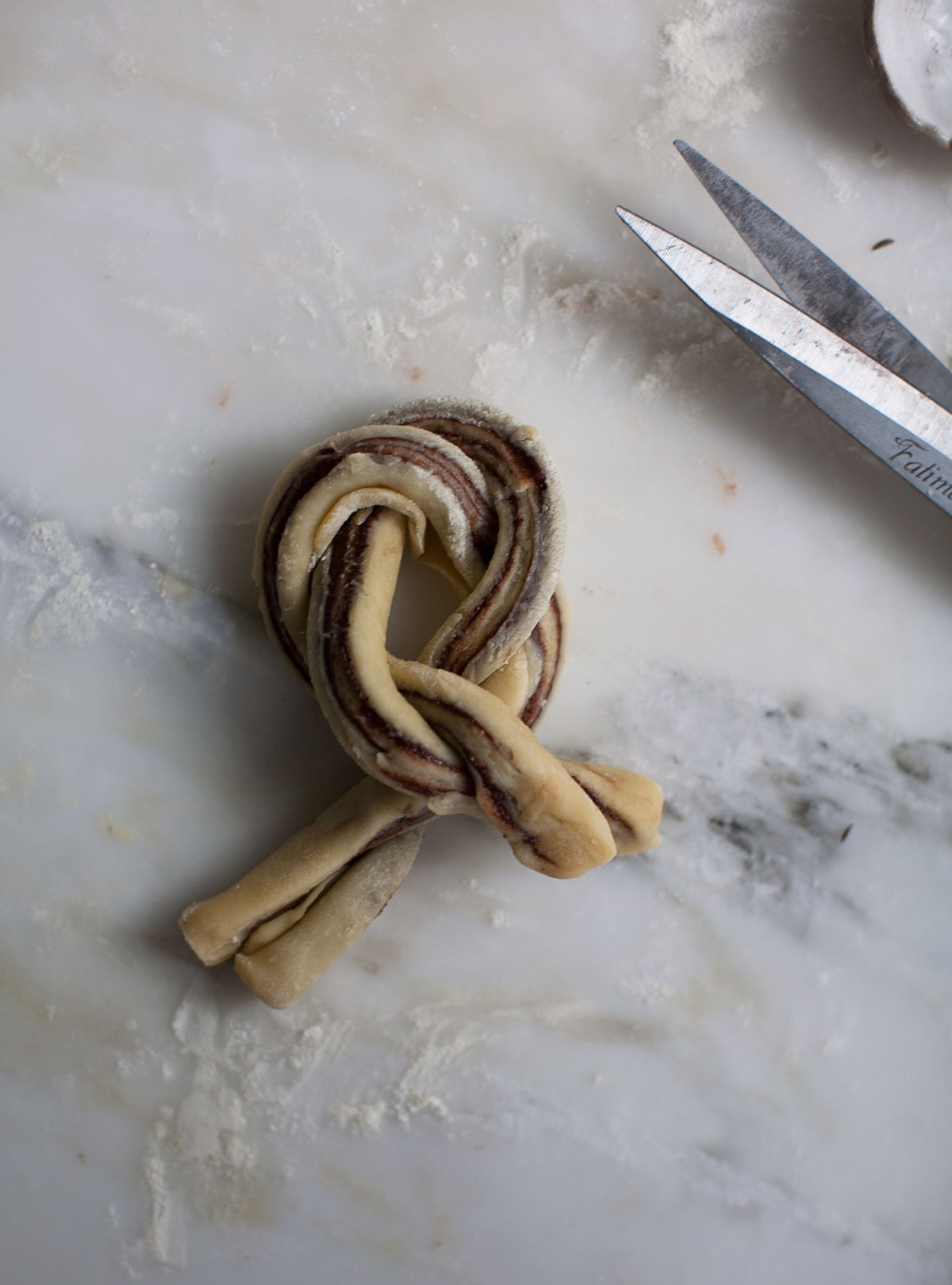 Chocolate Caraway Babka Buns