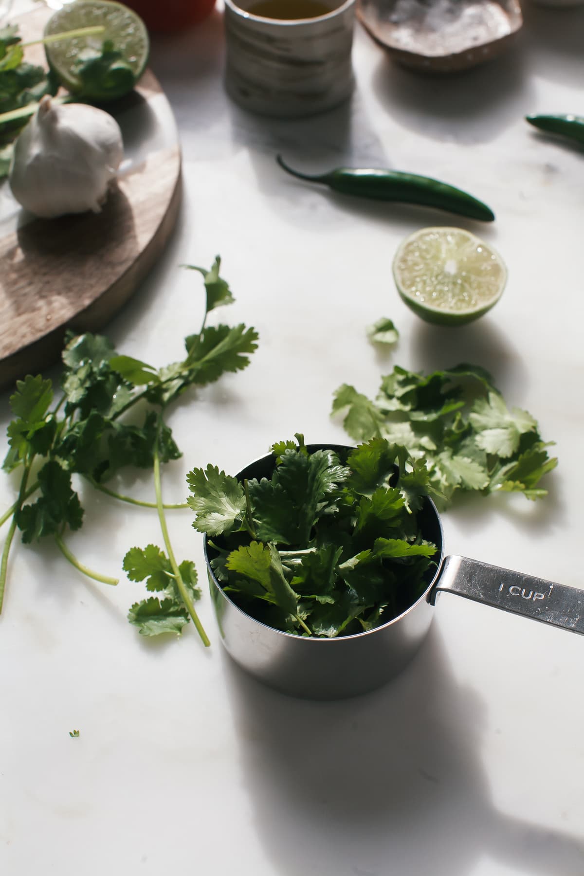 Aguadito (Peruvian Chicken Soup)