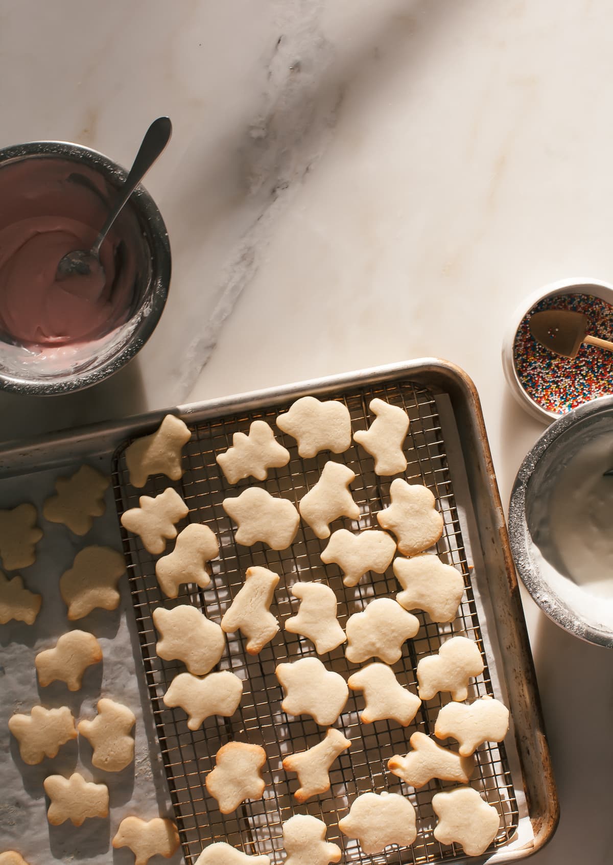 Homemade Animal Crackers