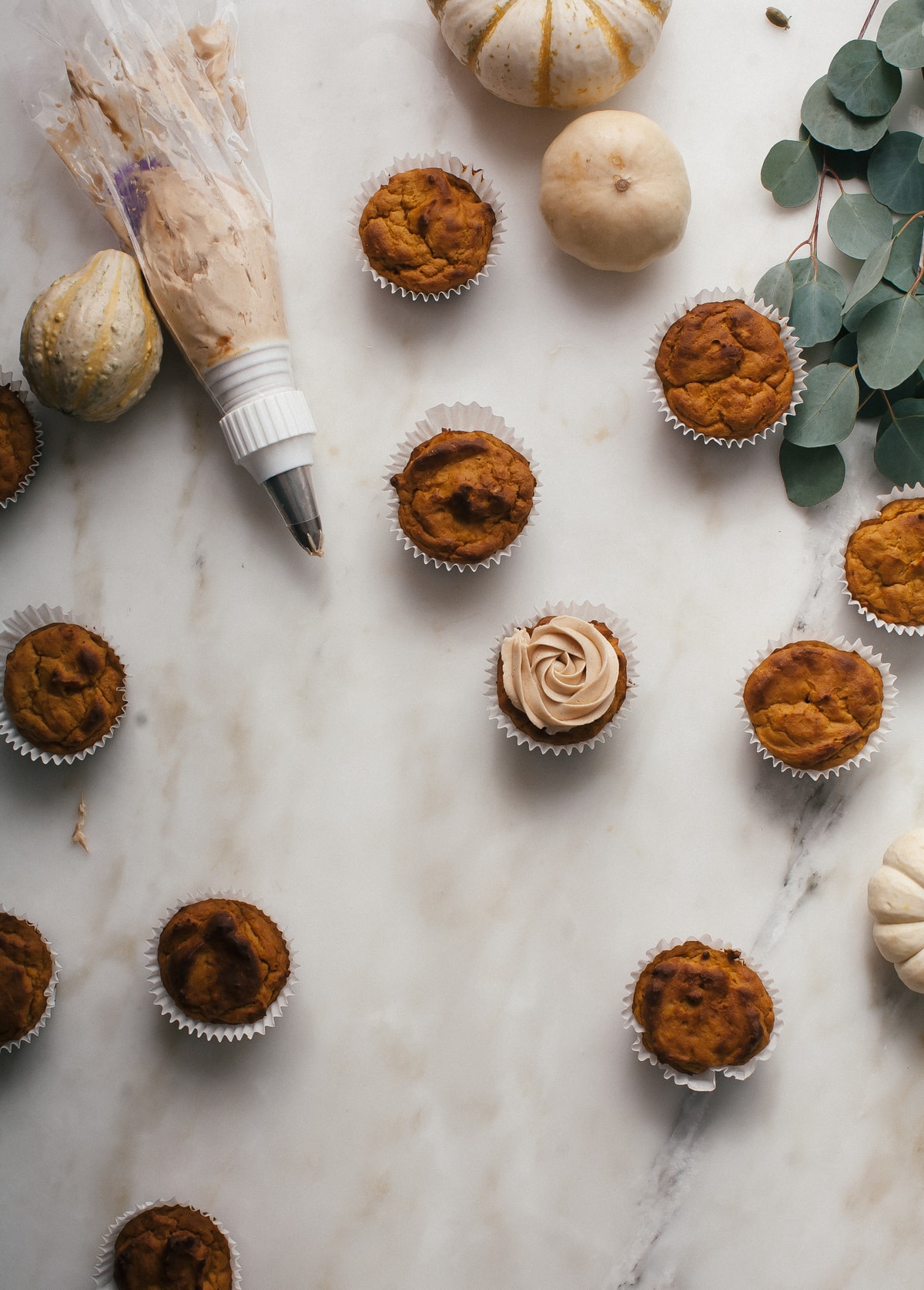 Pumpkin Pupcakes