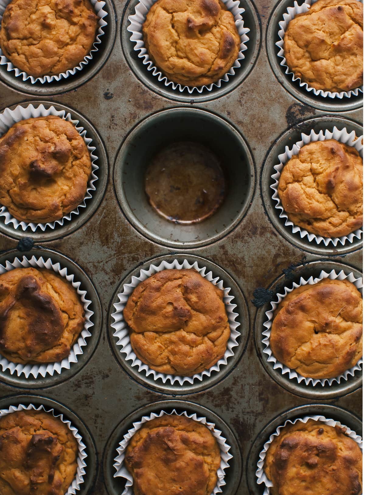 Pumpkin Pupcakes