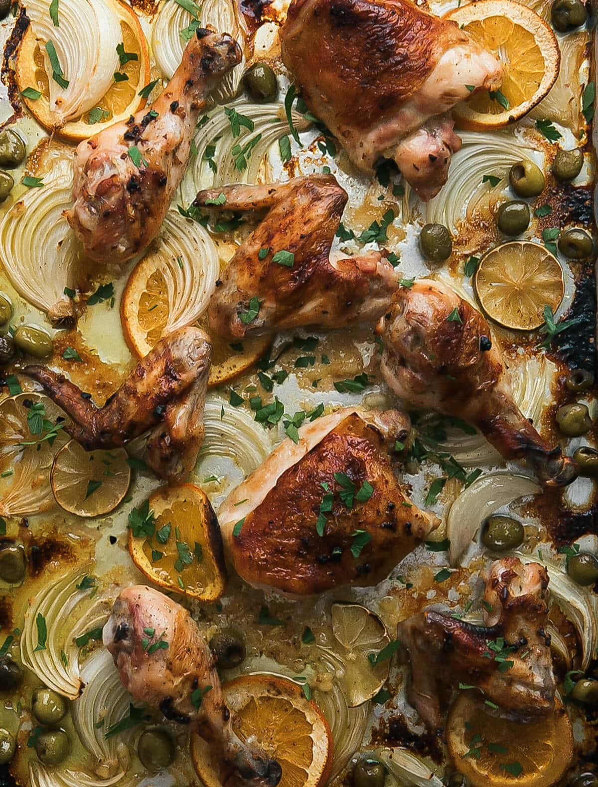 Close up image of roasted chicken with citrus slices on a sheet pan.